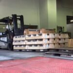 Hand Reared African Grey Parrots for Sale